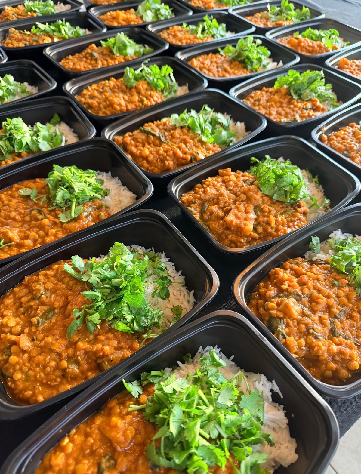 Lentil Potato Curry with red lentils, potato, ginger, garlic, onion, turmeric, vindaloo spice, spinach, oatmilk, nutritional yeast, and cilantro over basmati rice. 